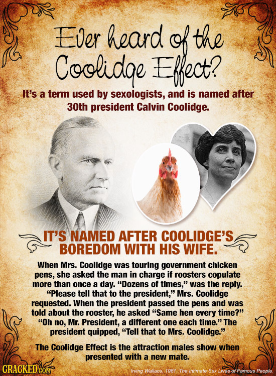 Ever heard f the Coolidae Effect? IT's a term used by sexologists, and is named after 30th president Calvin Coolidge. IT'S NAMED AFTER COOLIDGE'S BORE