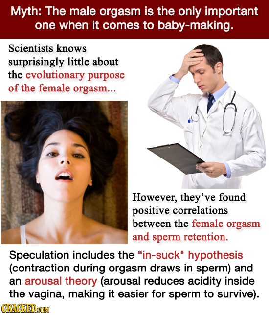 Myth: The male orgasm is the only important one when it comes to baby-making. Scientists knows surprisingly little about the evolutionary purpose of t