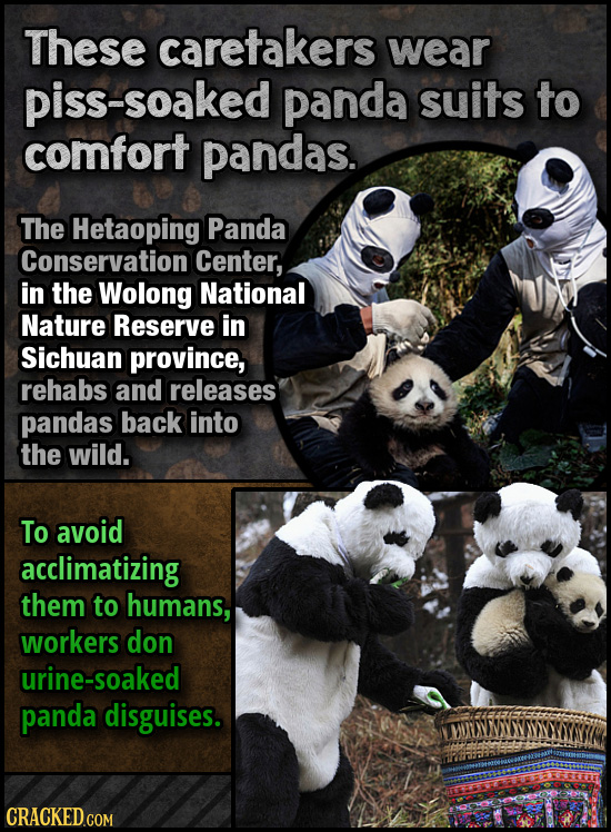 12 Ways We're Saving Animals (Using Sitcom Logic)