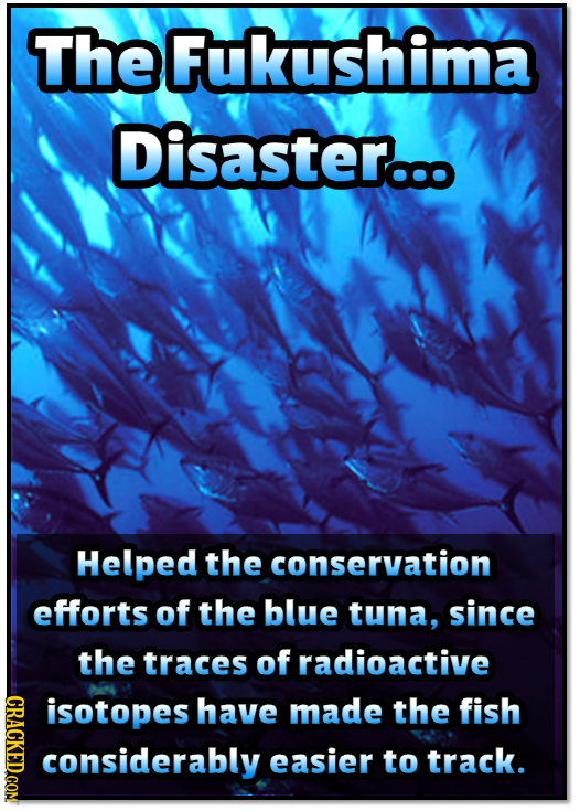 TheFukushima Disaster... Helped the conservation efforts of the blue tuna, since the traces of radioactive CRaCKEDcom isotopes have made the fish cons