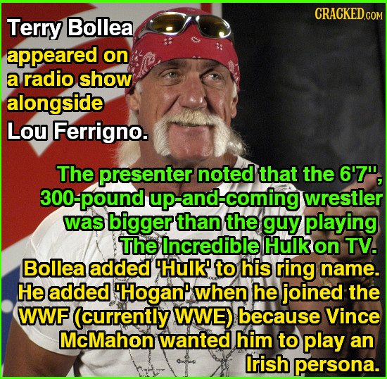 Terry Bollea appeared on a radio show alongside Lou Ferrigno. The presenter noted that the 6'7 300-pound d-coming wrestler was bigger than the guy pl