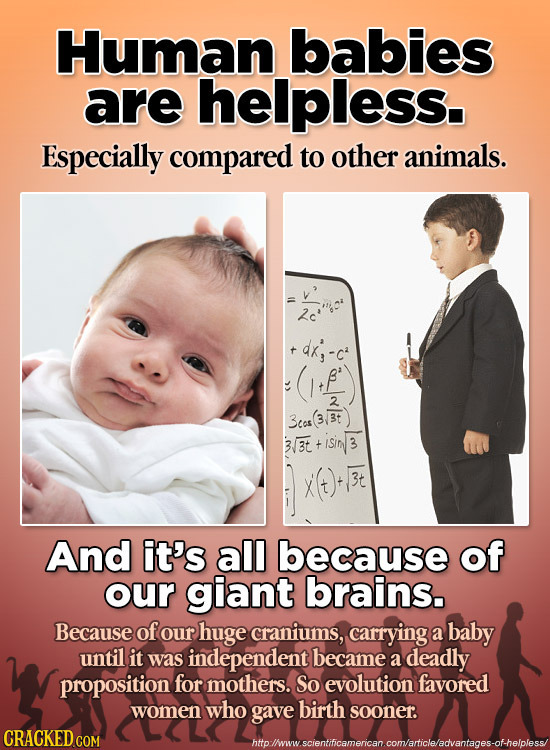 Human babies are helpless. Especially compared to other animals. 2 3ces (3/Bt) 3V3t + 1Sin 3 And it's all because of our giant brains. Because of our