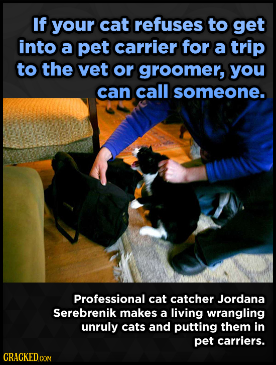 If your cat refuses to get into a pet carrier for a trip to the vet or groomer, you can call someone. Professional cat catcher Jordana Serebrenik make