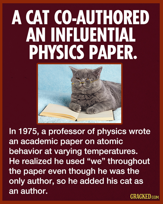 A CAT CO-AUTHORED AN INFLUENTIAL PHYSICS PAPER. In 1975, a professor of physics wrote an academic paper on atomic behavior at varying temperatures. He
