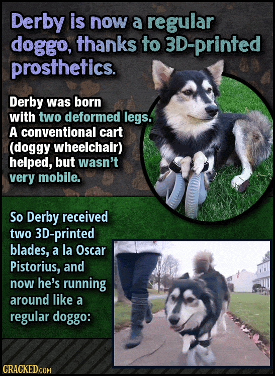 12 Ways We're Saving Animals (Using Sitcom Logic)