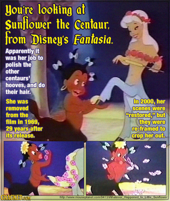 you're looking at Sunflower the Centaur, from Disney's Fantasia. Apparently it was her job to polish the other centaurs' hooves, and do their hair. Sh