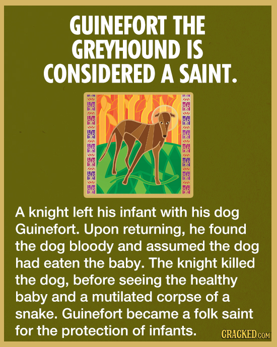 GUINEFORT THE GREYHOUND IS CONSIDERED A SAINT. IFT 1 .. N Na A A knight left his infant with his dog Guinefort. Upon returning, he found the dog blood