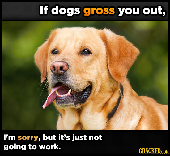If dogs gross you out, I'm sorry, but it's just not going to work. CRACKED.COM 