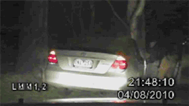 The 20 Most Eerily Convincing Paranormal Videos on YouTube