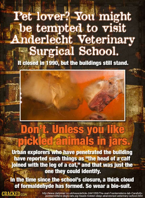 Pet lover? You might be tempted to visit Anderlecht Veterinary Surgical School. It closed in 1990, but the buildings still stand. Don't. Unless you li