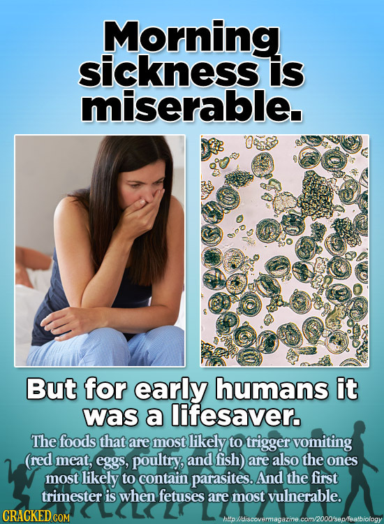 Morning sickness is miserable. But for early humans it was a lifesaver. The foods that are most likely to trigger vomiting (reD meat, eggs, poultry, a