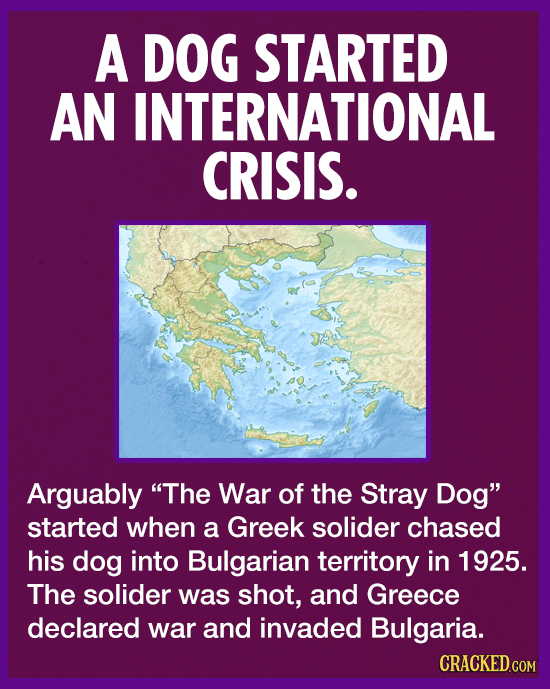 A DOG STARTED AN INTERNATIONAL CRISIS. Arguably The War of the Stray Dog started when a Greek solider chased his dog into Bulgarian territory in 192