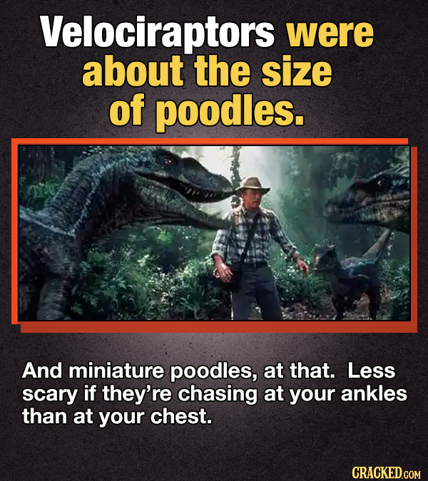 14 Dinosaur Facts 'Jurassic Park' Got Wrong