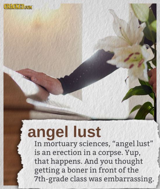 CRACKEDCON angel lust In mortuary sciences, angel lust is an erection in a corpse. Yup, that happens. And you thought getting a boner in front of th