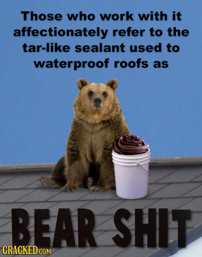 Those who work with it affectionately refer to the tar-like sealant used to waterproof roofs as BEAR SHIT CRACKED 