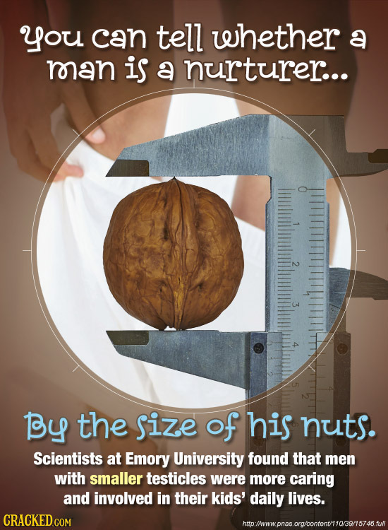 you can tell whether a man is a nurturer... 2 3 4 By the ize of his nuts. Scientists at Emory University found that men with smaller testicles were mo