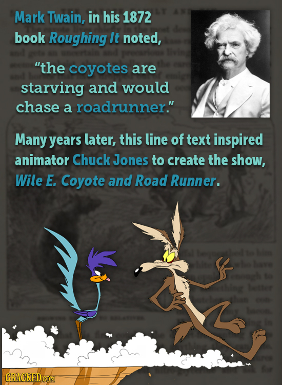 Mark Twain, in his 1872 book Roughing It noted, the coyotes are starving and would chase a roadrunner. Many years later, this line of text inspired