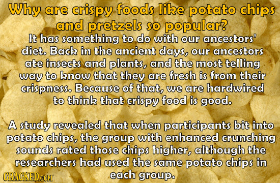 Why are crispy foods libe potato chips and pretzels so popular? It has something to do with our ancestors' diet. Bach in the ancient days, Our ancesto