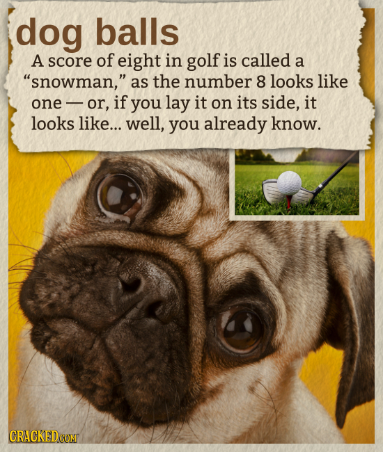 dog balls A score of eight in golf is called a snowman, as the number 8 looks like one or, if you lay it on its side, it looks like... well, you alr