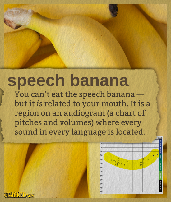 speech banana You can't eat the speech banana - but it is related to your mouth. It is a region on an audiogram (a chart of pitches and volumes) where