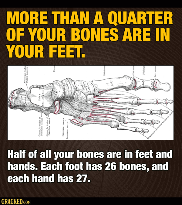 16 Facts That Are Just Plain Counterintuitive