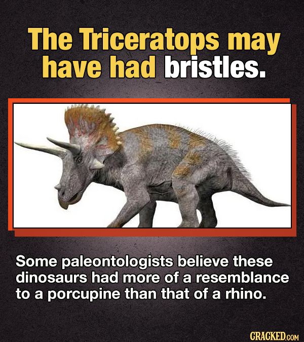 14 Dinosaur Facts 'Jurassic Park' Got Wrong