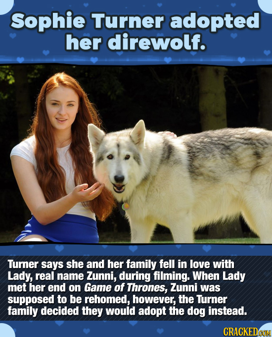 Sophie Turner adopted her direwolf. Turner says she and her family fell in love with Lady, real name Zunni, during filming. When Lady met her end on G