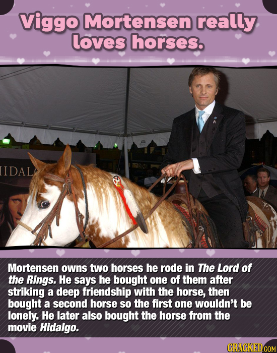 Viggo Mortensen really loves horses. IDAL Mortensen owns two horses he rode in The Lord of the Rings. He says he bought one of them after striking a d
