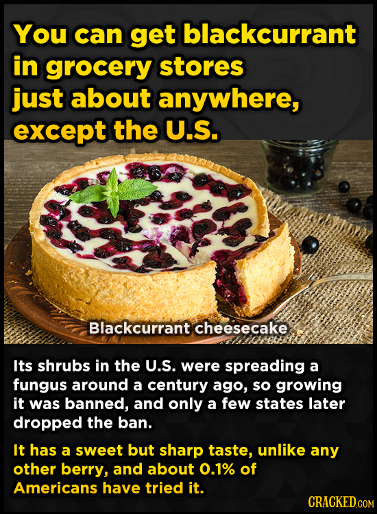 You can get blackcurrant in grocery stores just about anywhere, except the U.S. Blackcurrant cheesecake Its shrubs in the U.S. were spreading a fungus