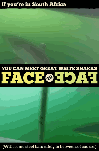 The 15 Most Fun Things You Can (Legally) Pay To Do