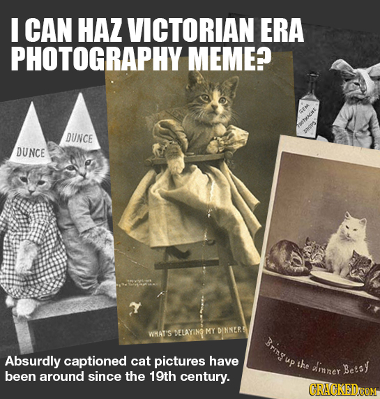 I CAN HAZ VICTORIAN ERA PHOTOGRAPHY MEME? DUNCE DROPS DUNCE WHAT'S DELAYING MY DINNER Brmgu Absurdly captioned cat pictures have the dinner Betsy bee