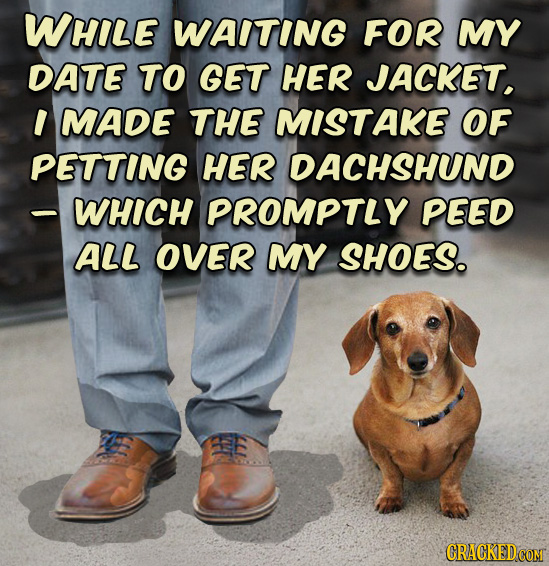 WHILE WAITING FOR MY DATE TO GET HER JACKET, I MADE THE MISTAKE OF PETTING HER DACHSHUND - WHICH PROMPTLY PEED ALL OVER MY SHOES. E