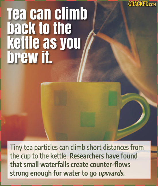 CRACKED Tea can climb back to the kettle as you brew it. Tiny tea particles can climb short distances from the cup to the kettle. Researchers have fou