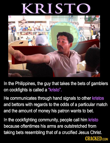 KRISTO In the Philippines, the guy that takes the bets of gamblers on cockfights is called a kristo. He communicates through hand signals to other k