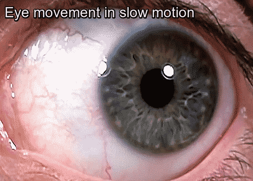 37 Everyday Things That Look Insane in Slow Motion