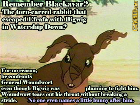 Remember Blackavar? The torn: earred rabbit that escaped Efrafa with Bigwig in Watership Down? CRACKEDCON For no reason, he confronts General Woundwor