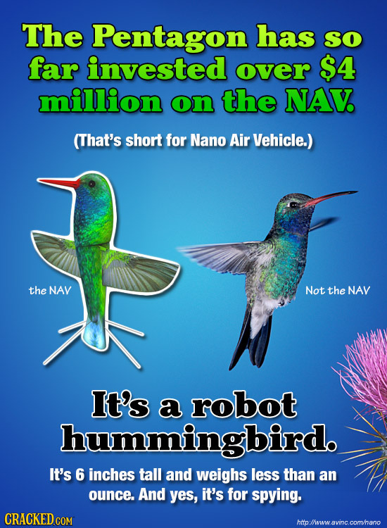 The Pentagon has So far invested over $4 million on the NAV (That's short for Nano Air Vehicle.) the NAV Not the NAV It's a robot hummingbird. It's 6