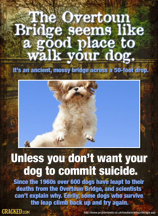 24 Creepy Places You Can Visit