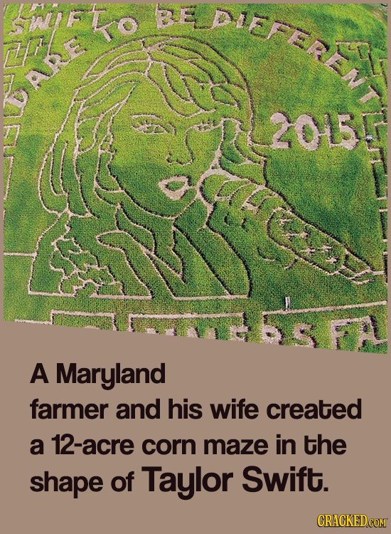 SWFKO PIEFEREA 2015 A Maryland farmer and his wife created a 12-acre corn maze in the shape of Taylor Swift.