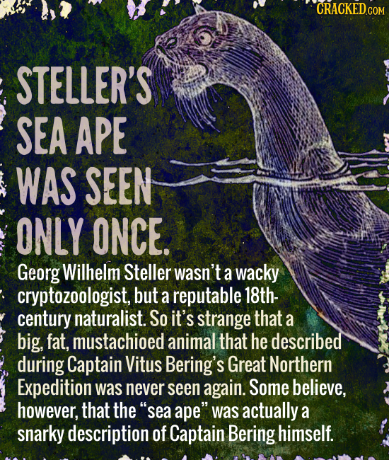 CRACKED c COM STELLER'S SEA APE WAS SEEN ONLY ONCE. Georg Wilhelm Steller wasn't a wacky cryptozoologist, but a reputable 18th- century naturalist. So