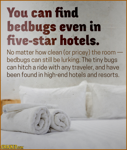 You can find bedbugs even in five-star hotels. No matter how clean (or pricey) the room bedbugs can still be lurking. The tiny bugs can hitch a ride w