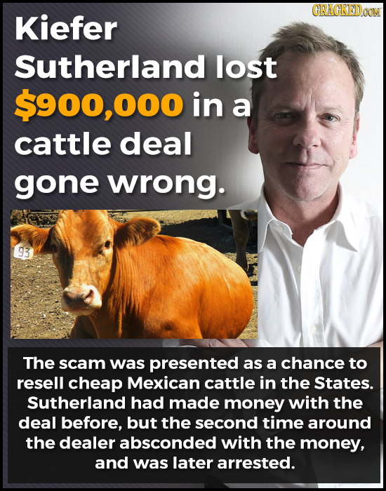 CRACKEDGON Kiefer Sutherland lost $900,000 in a cattle deal gone wrong. 93 The scam was presented as a chance to resell cheap Mexican cattle in the St