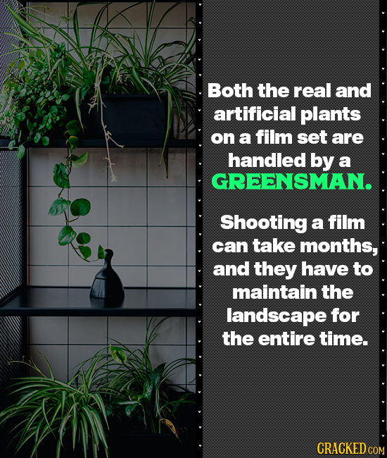 Both the real and artificial plants on a film set are handled by a GREENSMAN. Shooting a film can take months, and they have to maintain the landscape