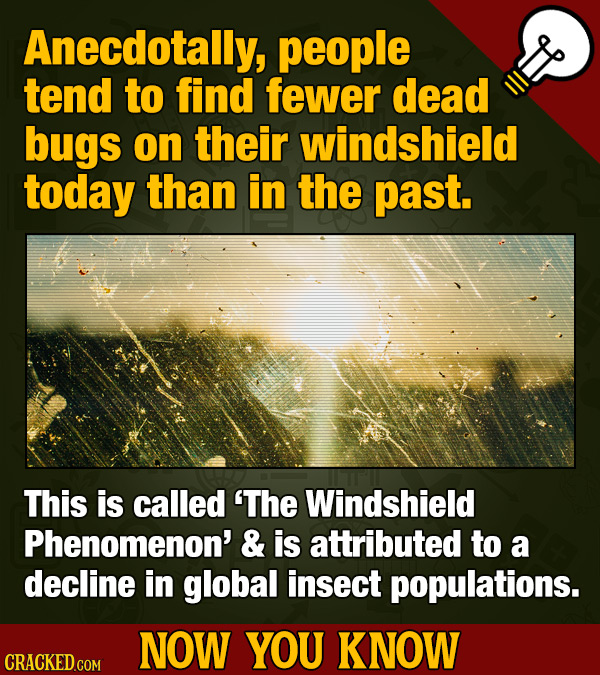 Anecdotally, people tend to find fewer dead bugs on their windshield today than in the past. This is called 'The Windshield Phenomenon' & is attribute