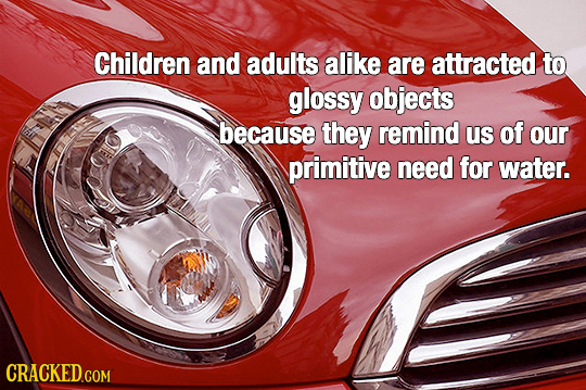 Children and adults alike are attracted to glossy objects because they remind us of our primitive need for water. CRACKED.COM