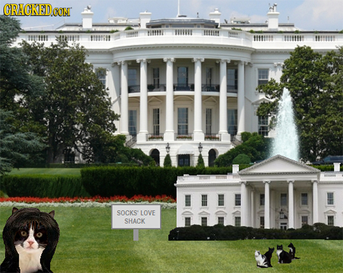 ORAGKED.GOM WE tmeerout tIE Tf SOCKS LOVE SHACK