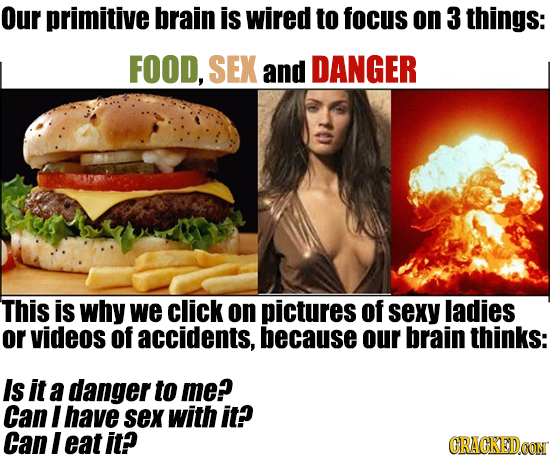 Our primitive brain is wired to focus on 3 things: FOOD, SEX and DANGER This is why we click on pictures of sexy ladies or videos of accidents, becaus