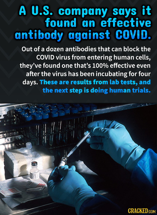 A U.S. company says it found an effective antibody against COVID. Out of a dozen antibodies that can block the COVID virus from entering human cells,
