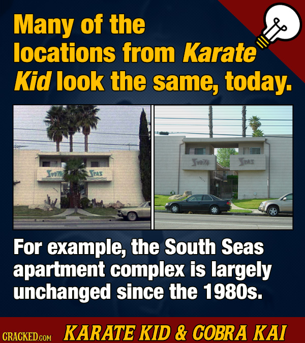 20 ‘Karate Kid’ And ‘Cobra Kai’ Now You Know Facts (Plus Easter Eggs)