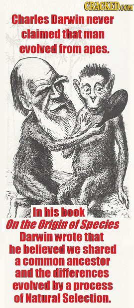 CRACKEDa Charles Darwin never claimed that man evolved from apes. In his book On the Origin of Species Darwin wrote that he believed we shared a commo